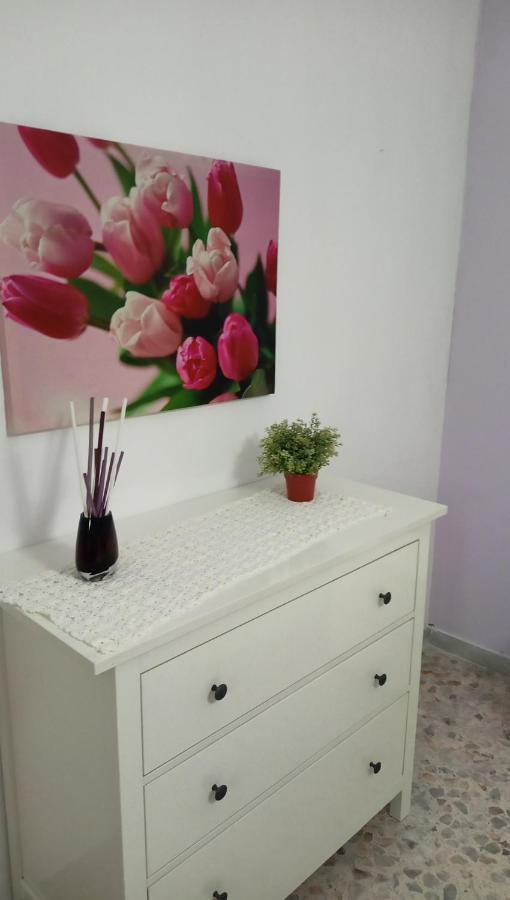 La Cittadella Apartment Amalfi Coast サレルノ エクステリア 写真